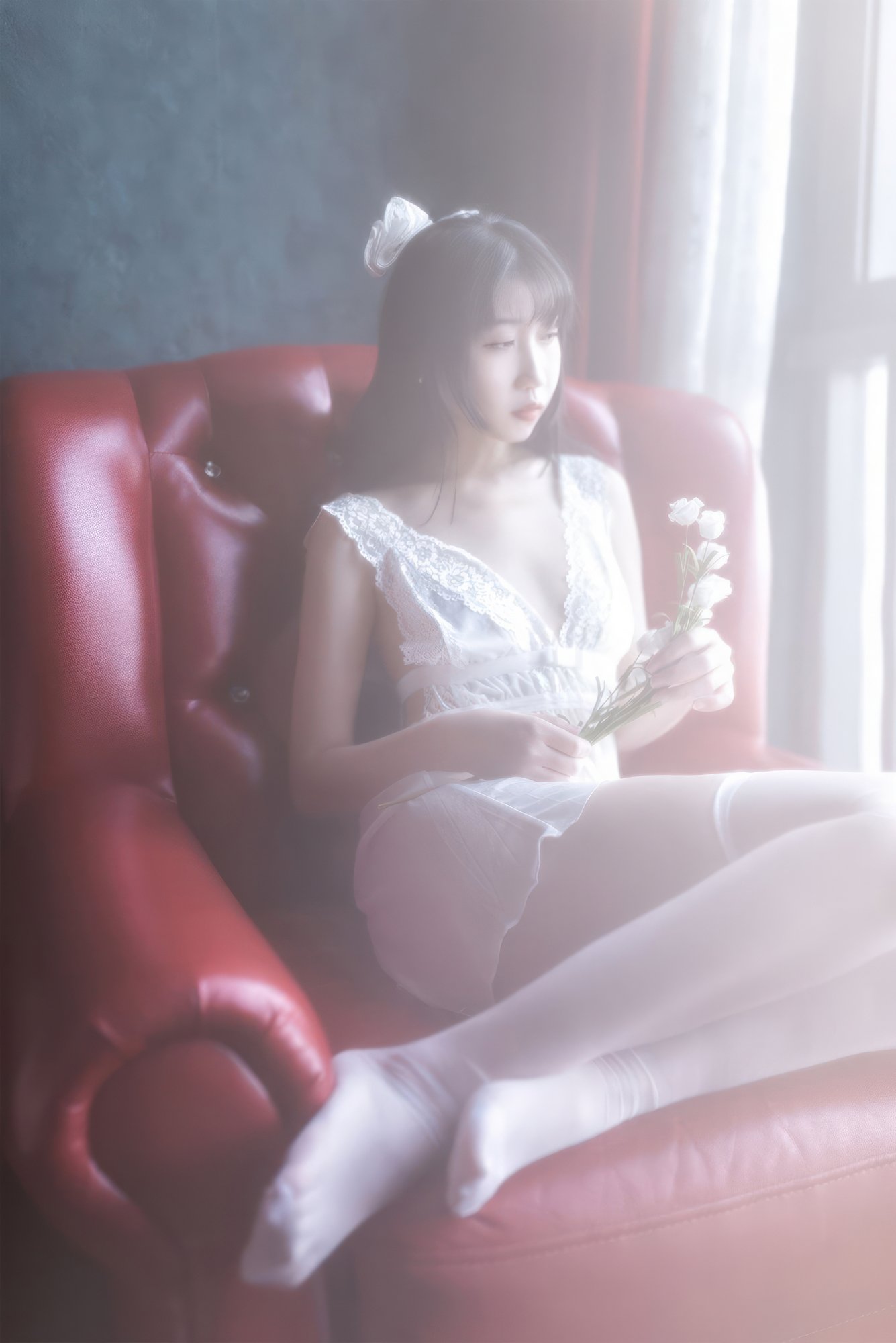 不呆猫 - 白月光