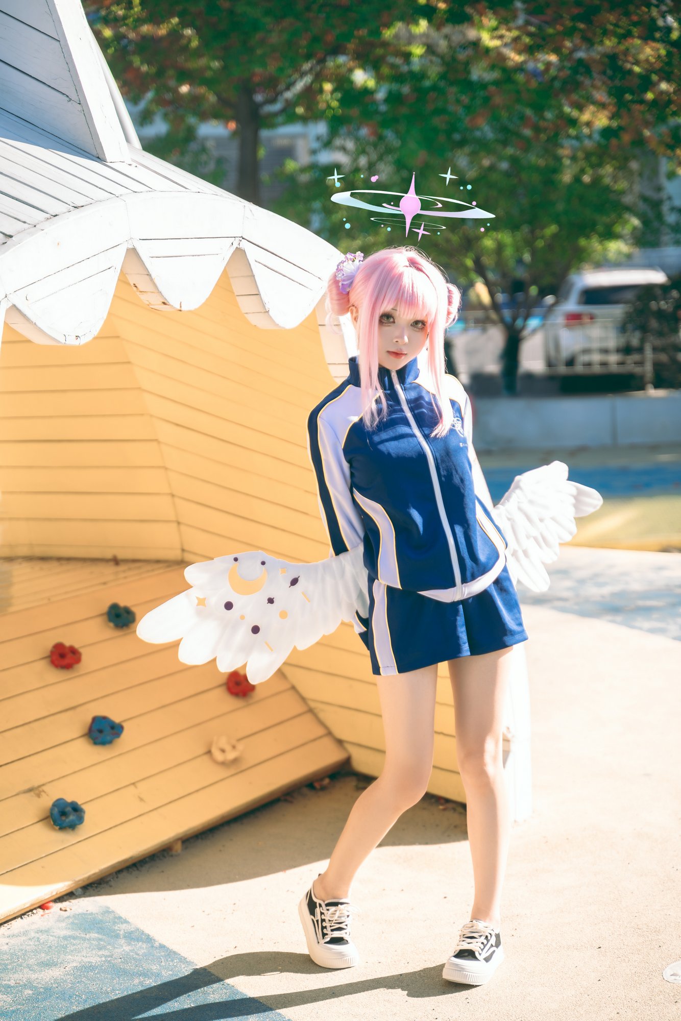 矢量鱼 - 圣园未花